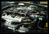 jaguar xjs V12  91-3